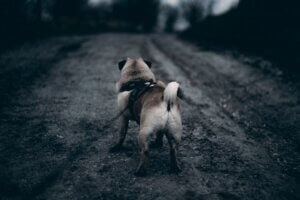 Mehr über den Artikel erfahren Welche Fehler bei der Leadgewinnung als Solopreneur vermeiden?