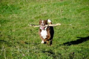 Mehr über den Artikel erfahren So wird KI Dein unsichtbarer Helfer im Kundenservice