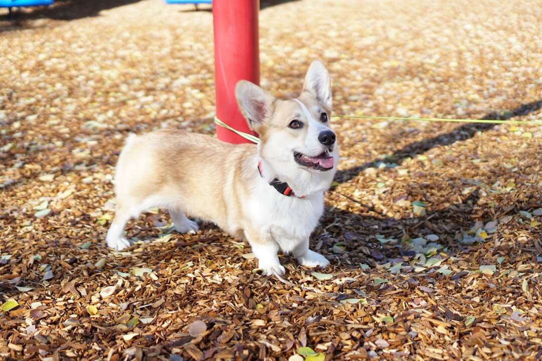 Mehr über den Artikel erfahren Wie generiere ich als Solopreneur Leads?