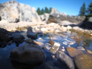 Mehr über den Artikel erfahren Die Implementierung von Künstlicher Intelligenz: Herausforderungen und Chancen