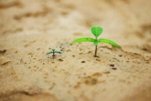 Mehr über den Artikel erfahren Erfolgreiche Lead Nurturing Strategien: So gewinnen Sie Kunden