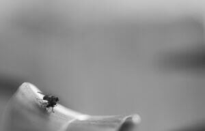 Mehr über den Artikel erfahren Warum Zoho CRM mehr ist als nur eine Datenbank